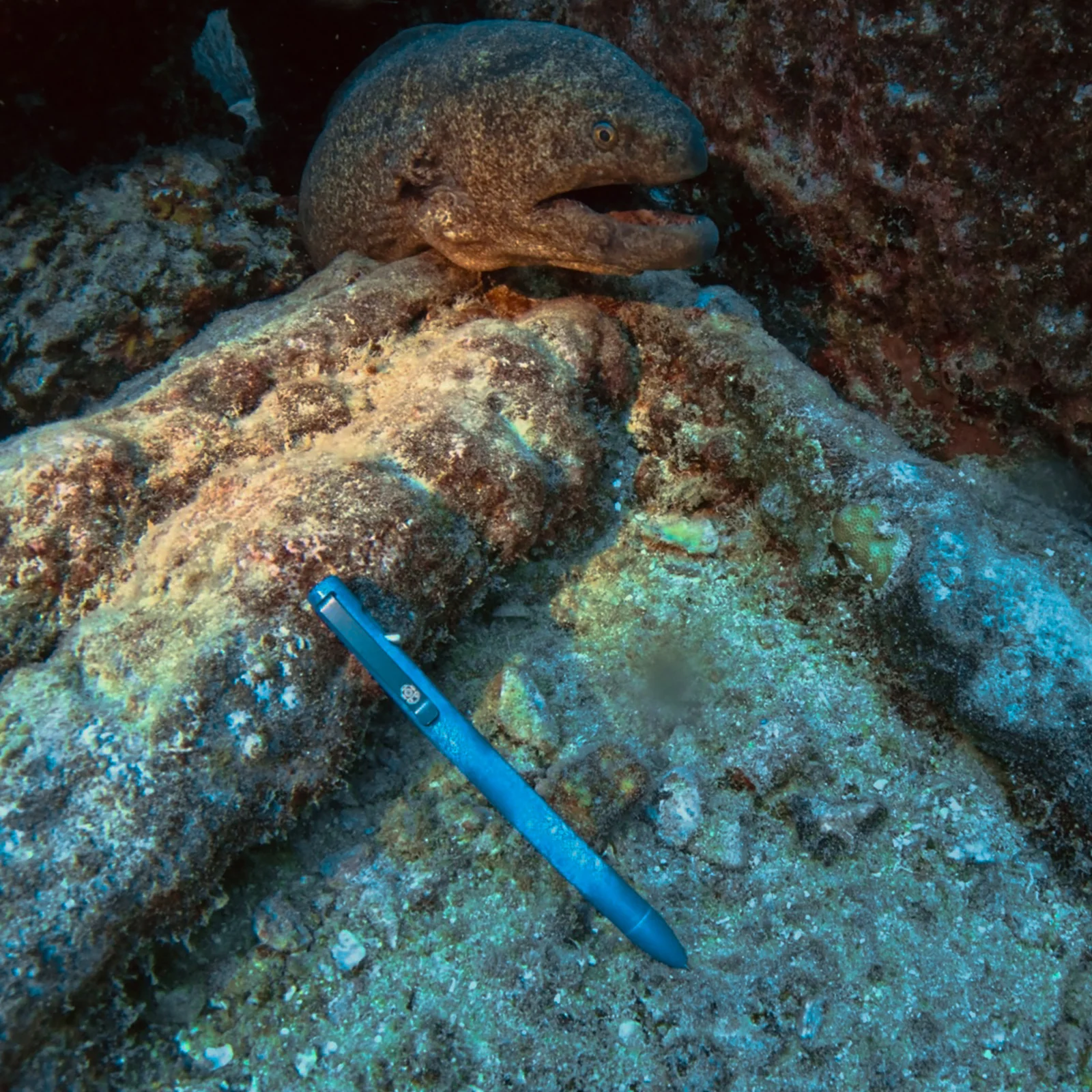 Deep Sea - Image 14